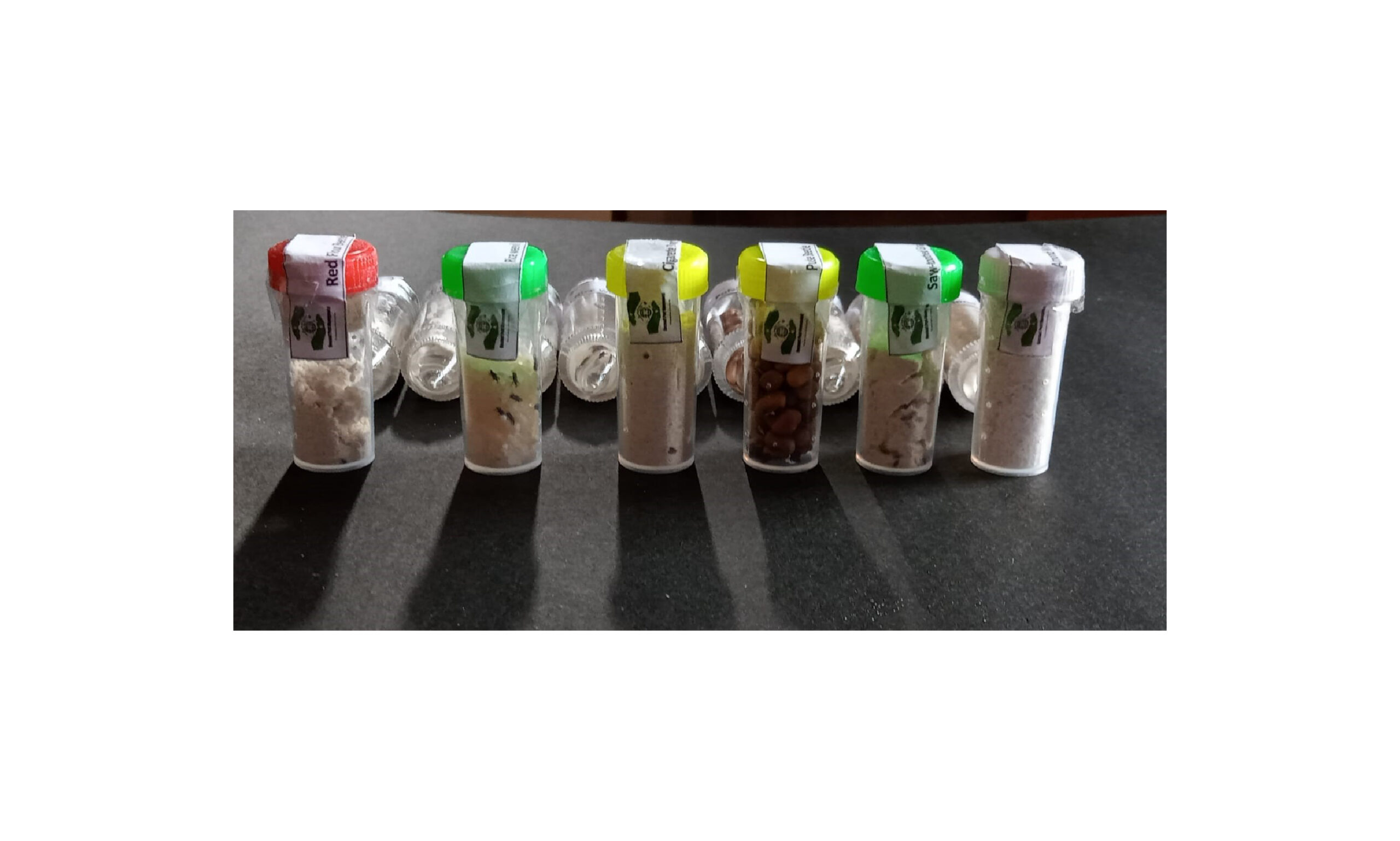 Live Insect Bioassay Kits