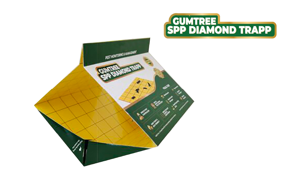 SPP Diamond Trapp